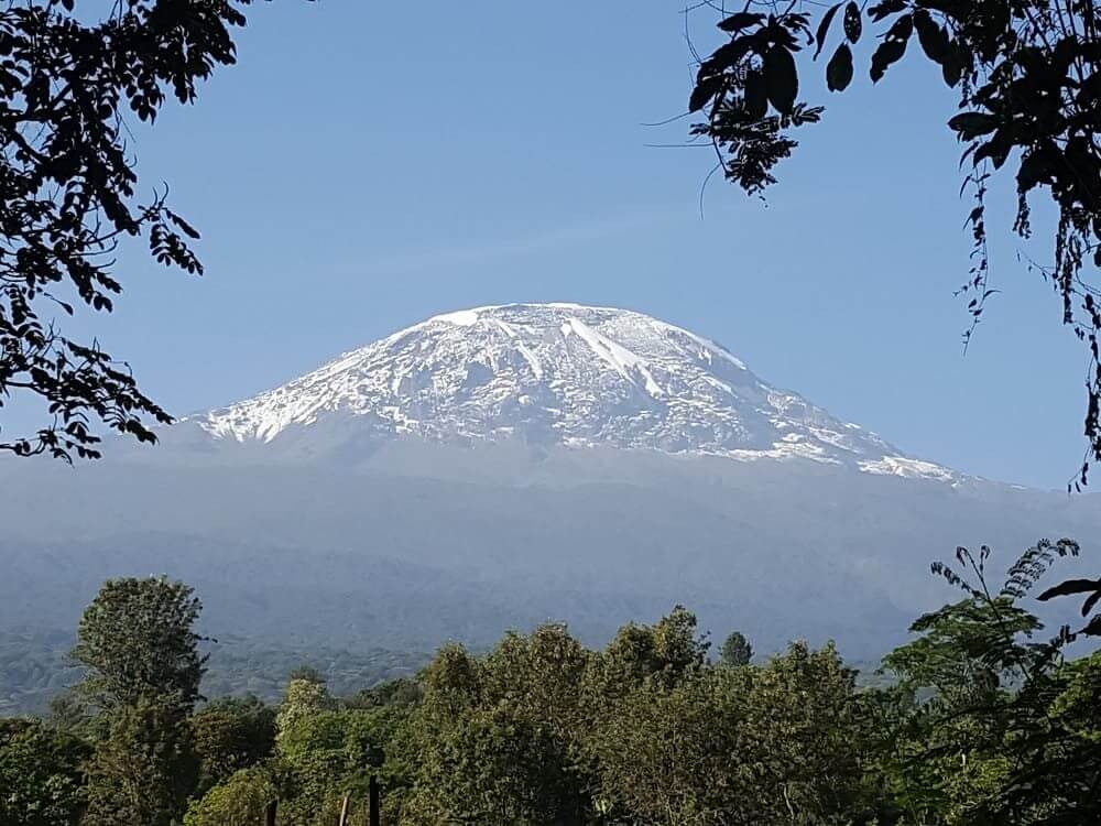 Machare Kilimanjaro - Image 6