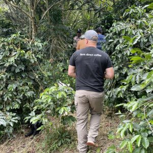 gacheta walking lucio farm 02-min gacheta walking lucio farm 02-min