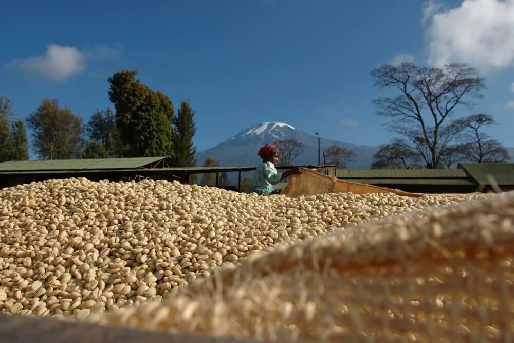 African Coffee