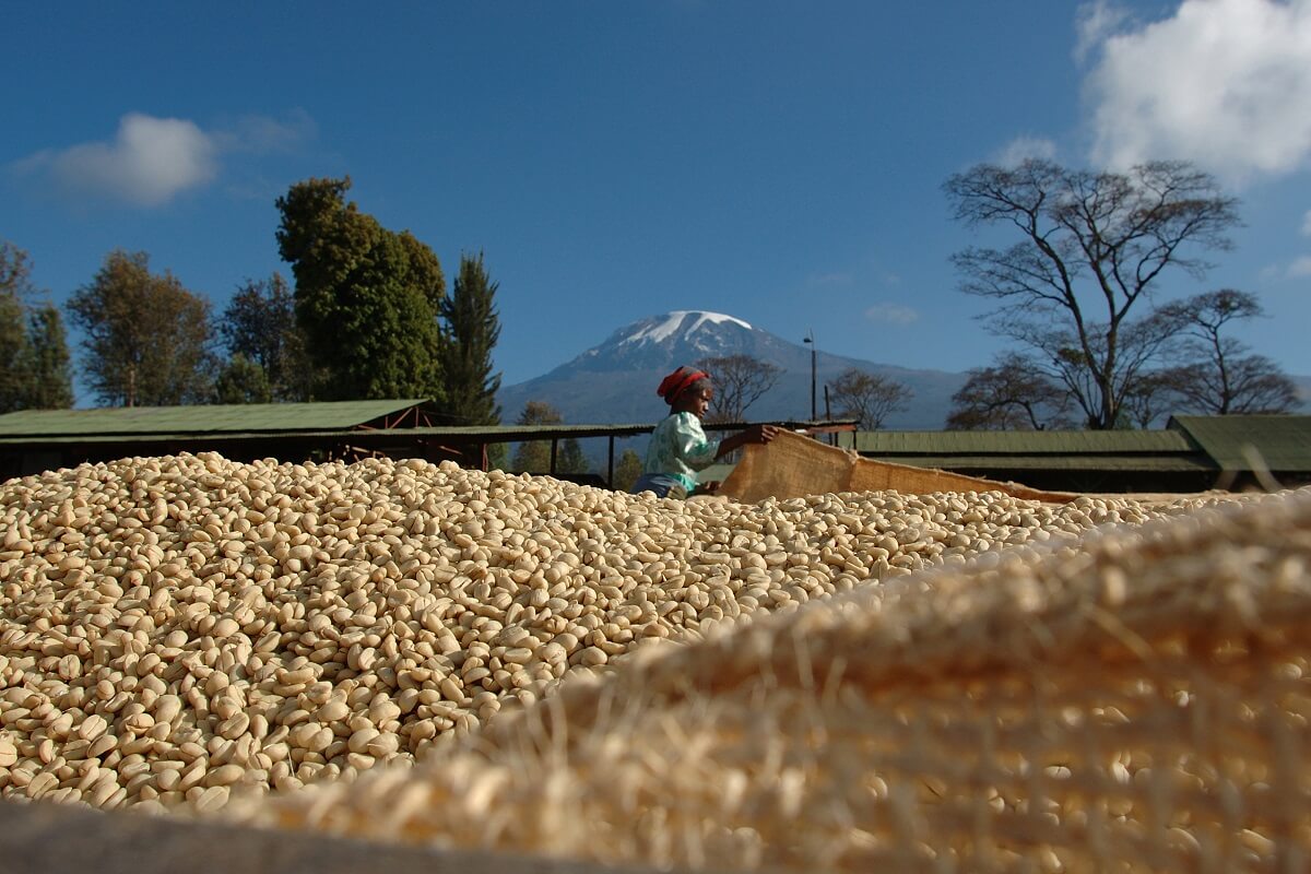 African Coffee