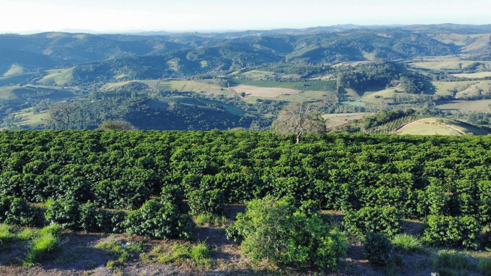 Nascentes Da Serra - Brazil - Image 2