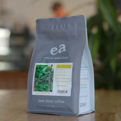 Colombia La Primavera Finca